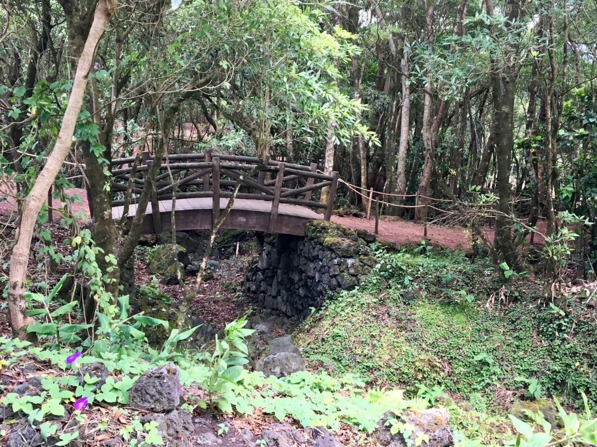Sao Joao  Casa Do Almance 빌라 외부 사진